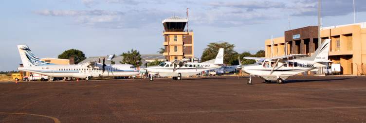 Morning Safari & Departure