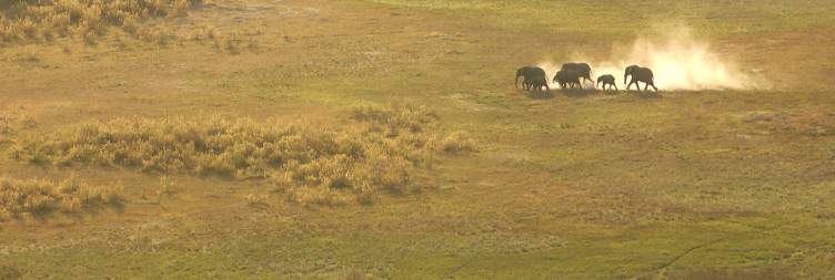 Enjoying the Okavango Delta