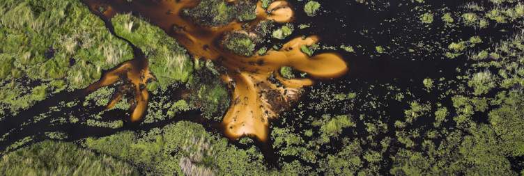 Okavango Delta - Shakawe