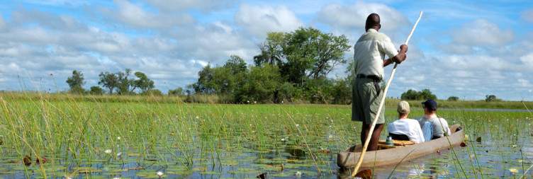 Goodbye Moremi, Hello Okavango Delta