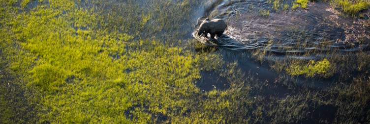 The Okavango Delta - Kadizora