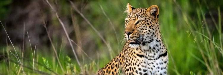 Okavango Delta Tour