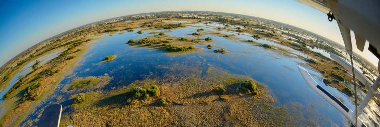 Okavango Delta Safari