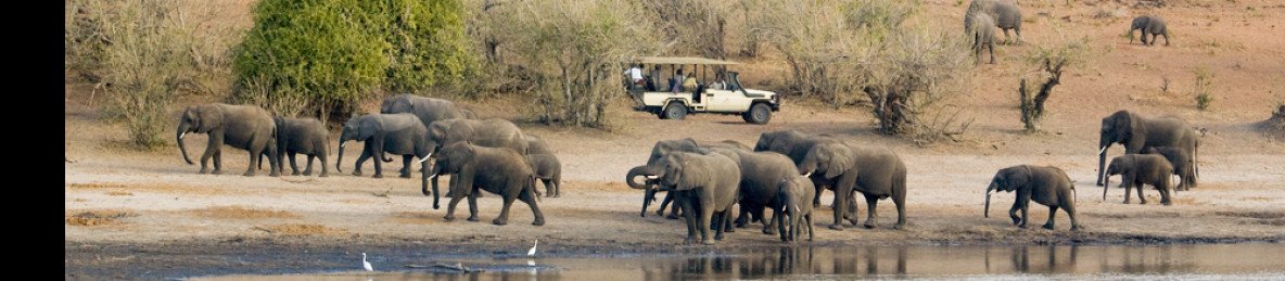 10-Day Wildlife and Victoria Falls NP