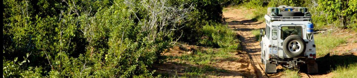 6-Day Chobe & Savuti Wildlife Expedition