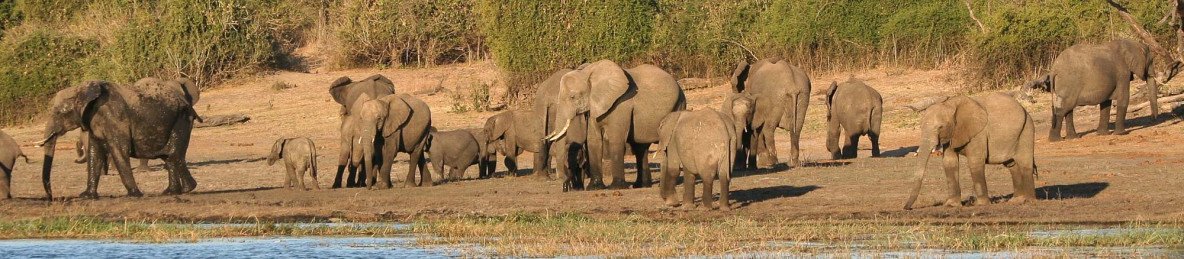 5-Day Botswana Treasures