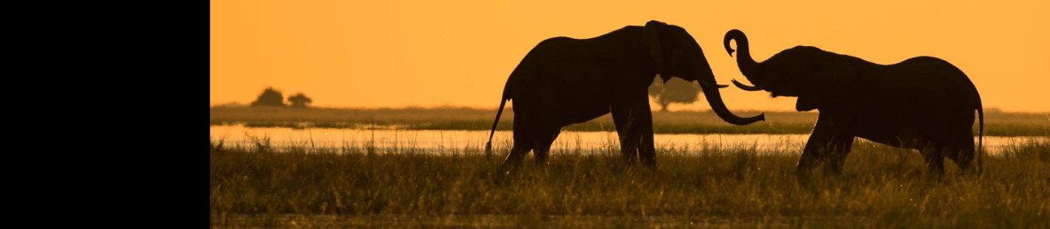 9-Day Best of Botswana Experience