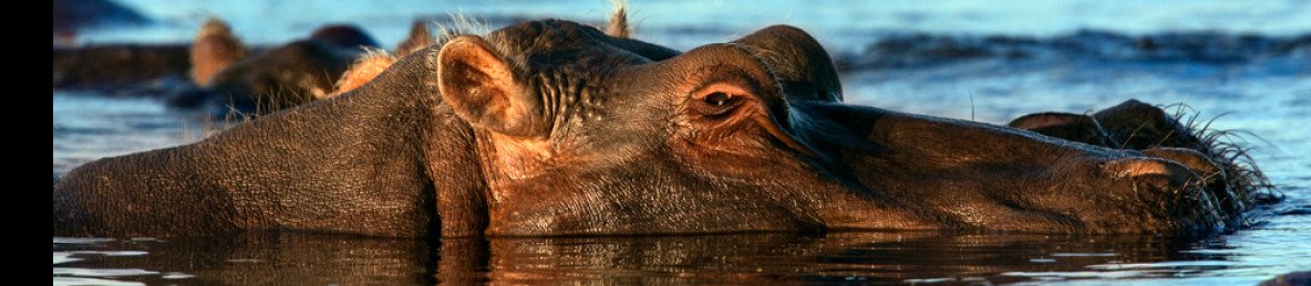 11-Day Lush Northern Namibia Self-Drive Safari