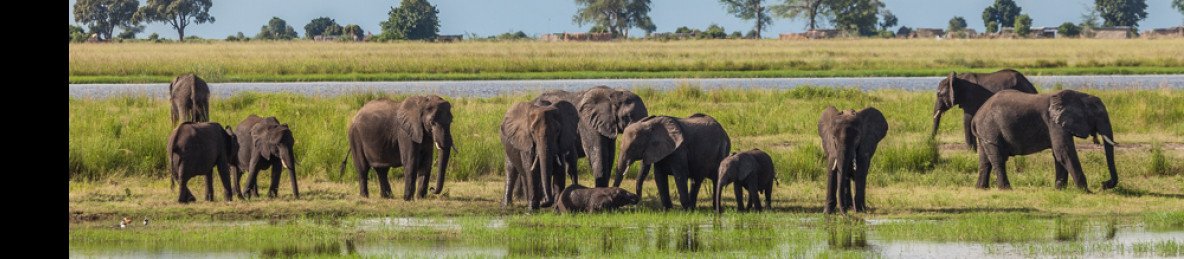 16-Day Incredible Namibia & Botswana Adventure