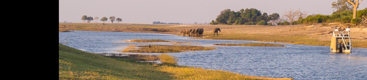 1-Day Chobe Excursion from Vic Falls