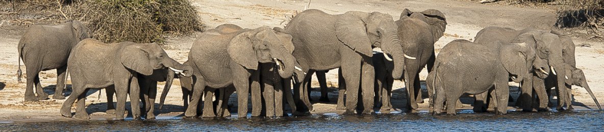 3-Day Okavango Delta Mokoro Tour