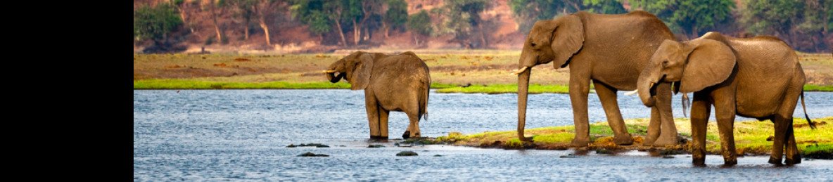 4-Day Iconic Victoria Falls & Zambezi Experience