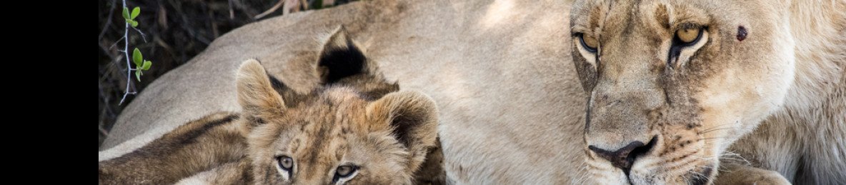 10-Day Luxury Family Botswana Safari
