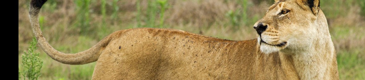 5-Day Victoria Falls to Botswana, Chobe