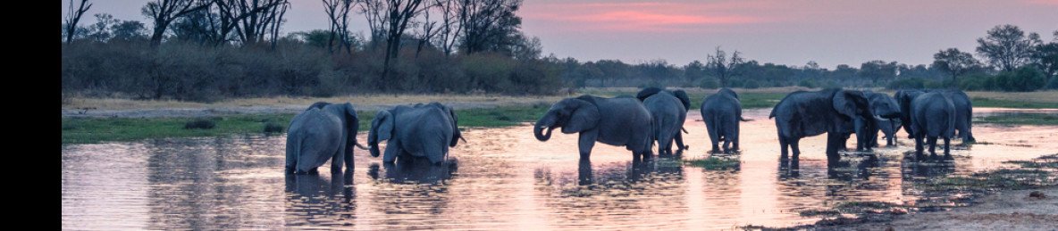 5-Day Hwange -Victoria Falls & Chobe Mid- Range