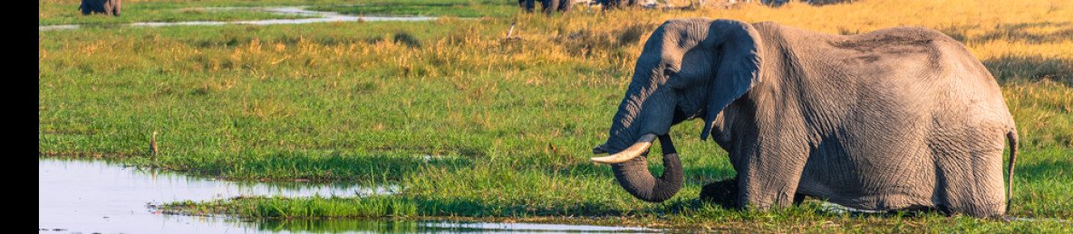 3-Day Chobe and Okavango Wildlife Safari