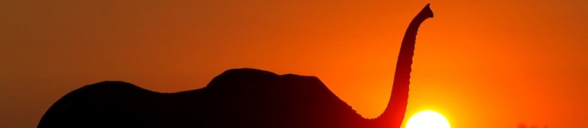 10-Day Extraordinary Expedition