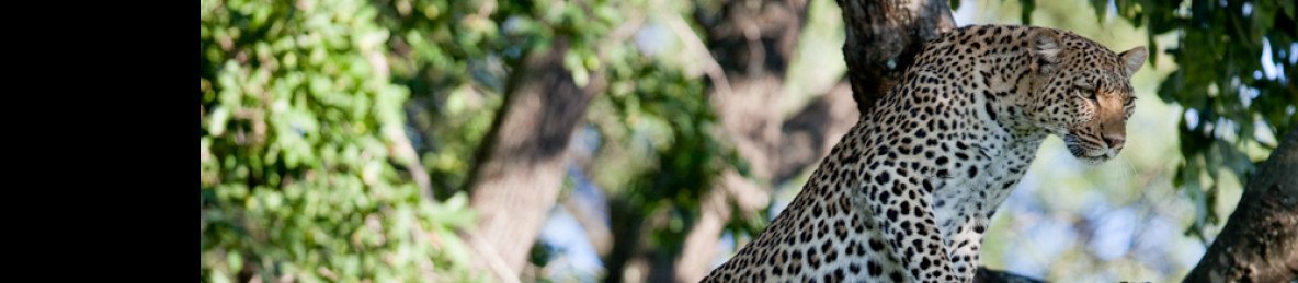 7-Day Okavango Delta+Moremi GR, Savuti+Chobe+Vic Falls