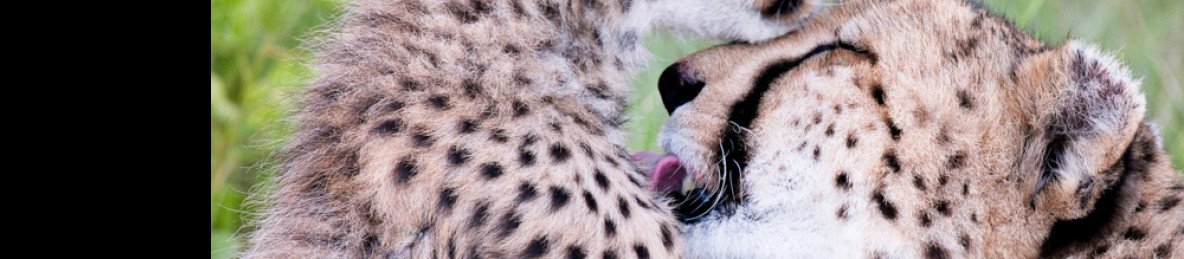7-Day Best of Botswana and Victoria Falls