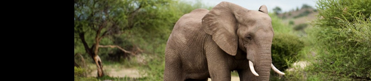 7-Day Affordable Botswana & Victoria Falls