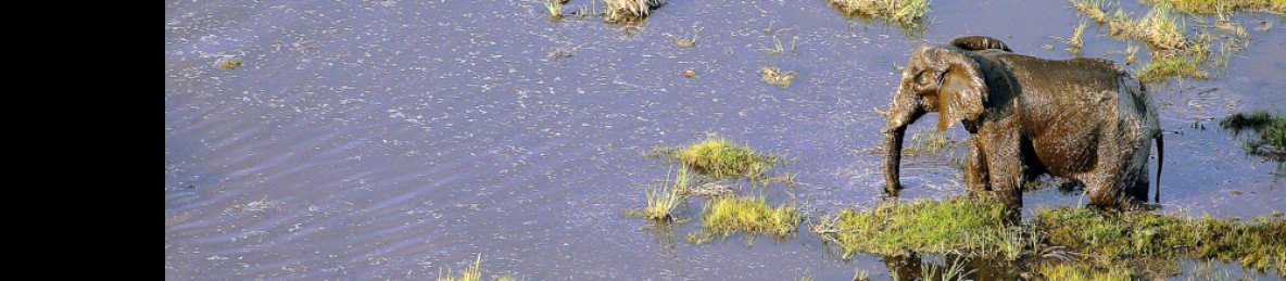 8-Day Luxury Safari Linyati & Okavango Delta, Botswana