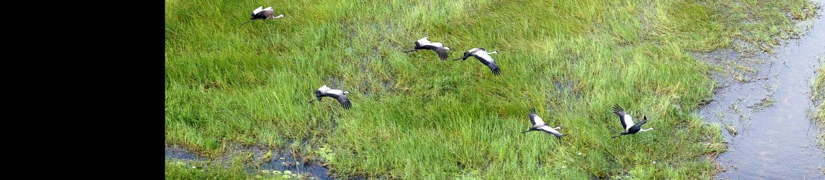 3-Day Okavango Delta Mokoro Trip Set Departures