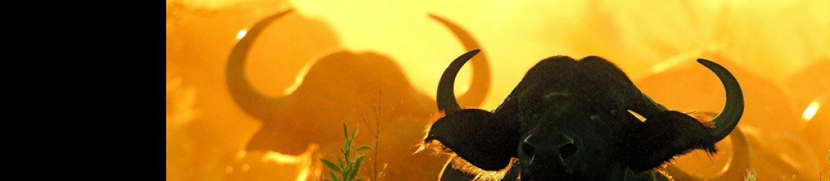 13-Day Best of Northern Terrains