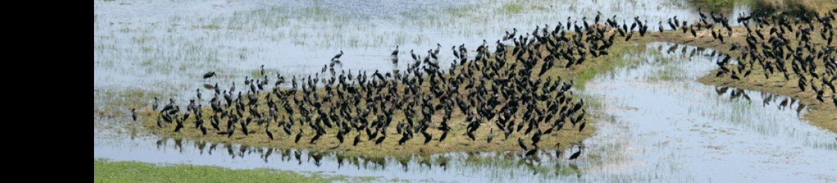 7-Day Victoria Falls, Chobe NP & Okavango Excursion