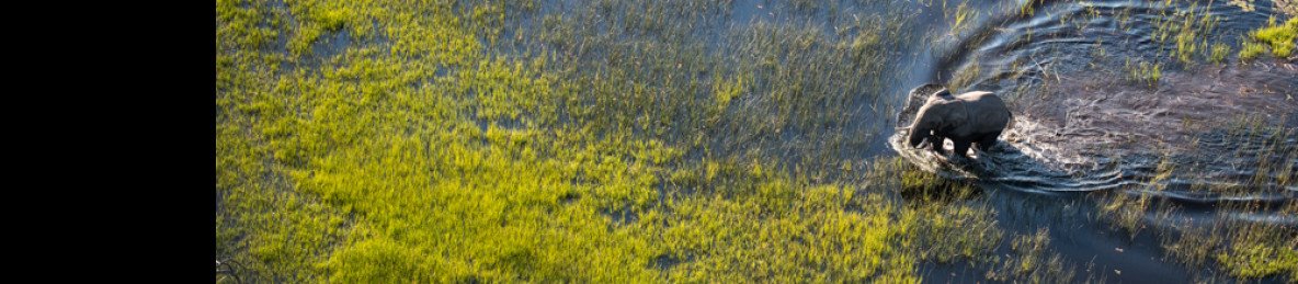 4-Day Okavango Delta Boat Safari Private Tour