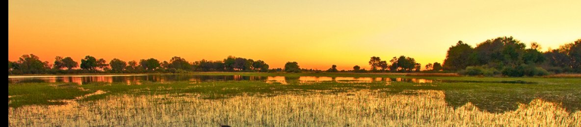 4-Day Explore and Unwind in the Heart of the Okavango
