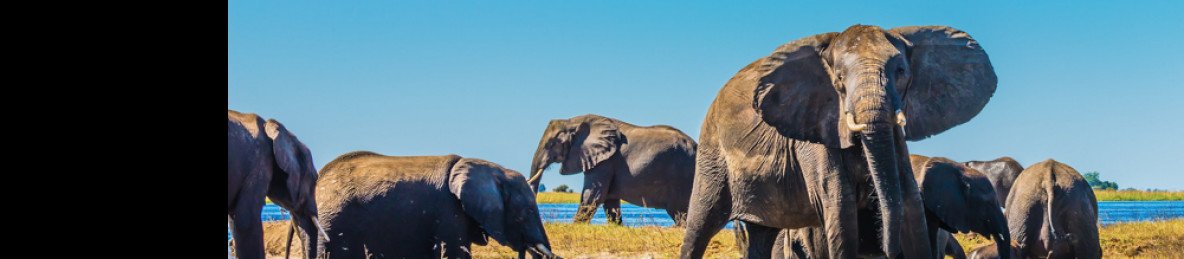 4-Day Okavango Explorer Set Departures
