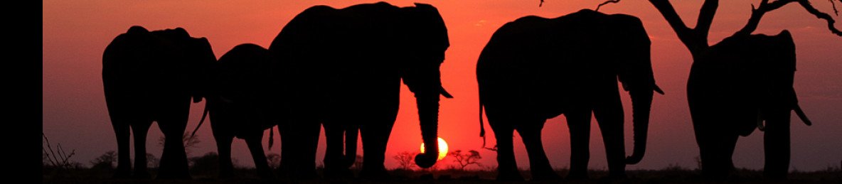 7-Day Jewels of Botswana & Falls