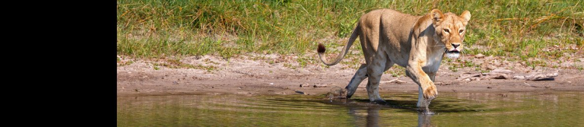 7-Day Budget-Friendly Botswana & Vic Falls Adventure