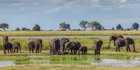 Budget camping Inside Okavango Delta – All Meals Included