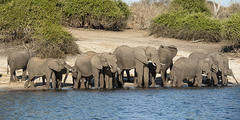Budget camping Inside Okavango Delta – Day 1: Lunch & Dinner Included – Day 2: All Meals Included