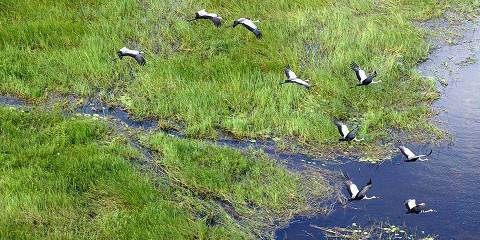 Budget camping Inside Okavango Delta – Lunch & Dinner Included