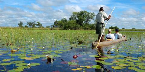 Budget camping Inside Okavango Delta – All Meals Included