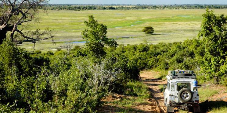 6-Day Chobe & Savuti Wildlife Expedition