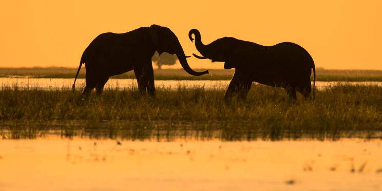 5-Day Victoria Falls and Chobe Mid Range Tour