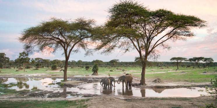5-Day Livingstone & Chobe Camping Safari