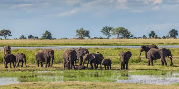 16-Day Incredible Namibia & Botswana Adventure