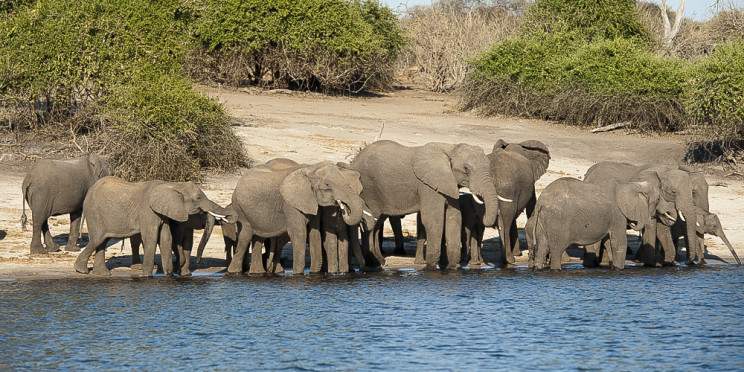 3-Day Okavango Delta Mokoro Tour