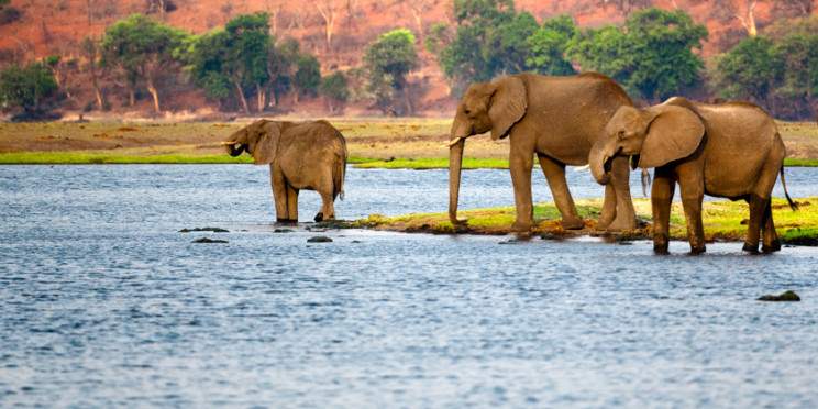 4-Day Iconic Victoria Falls & Zambezi Experience