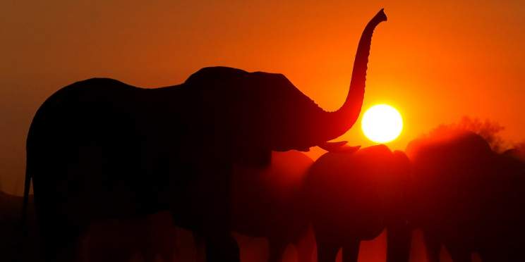 4-Day Uncover Zimbabwe, Zambia, Botswana and Namibia