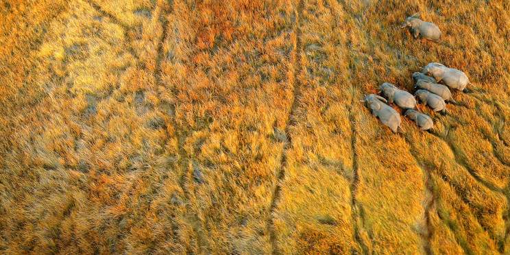 10-Day Luxury Cape Town, Okavango Delta & Victoria Falls
