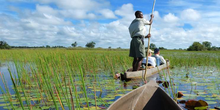 5-Day Okavango and Savute Big Cat Botswana Safari