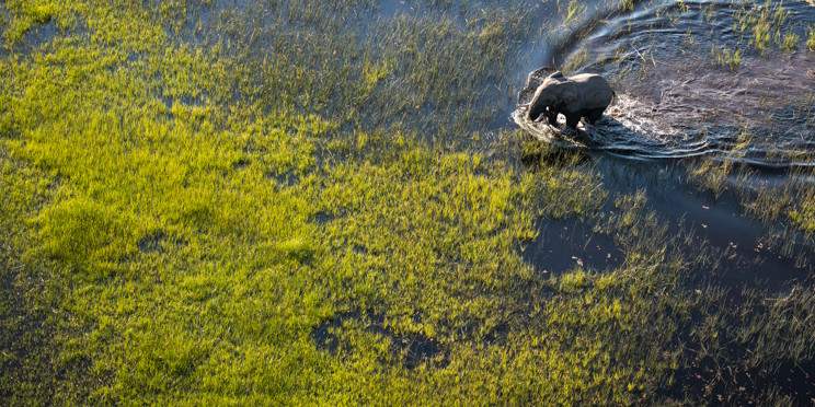 4-Day Okavango Delta Boat Safari Private Tour