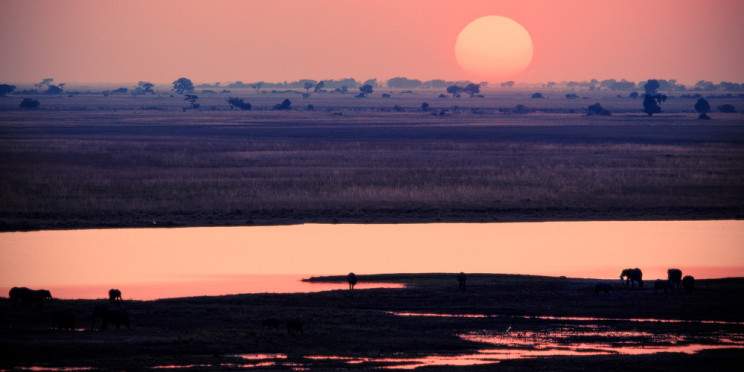 16-Day Zimbabwe Botswana Game Trail