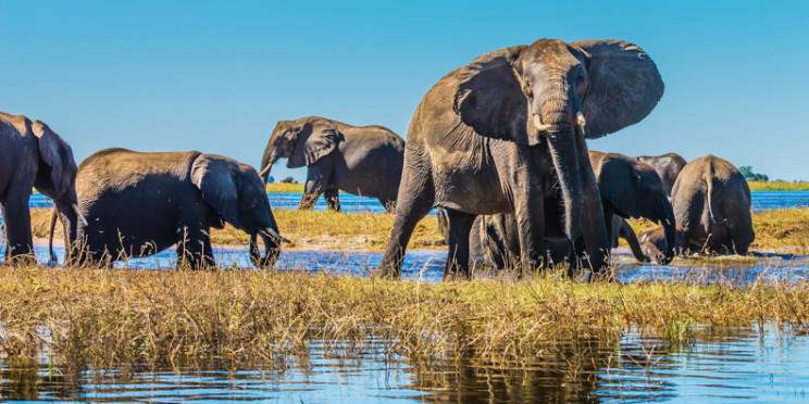 4-Day Okavango Explorer Set Departures