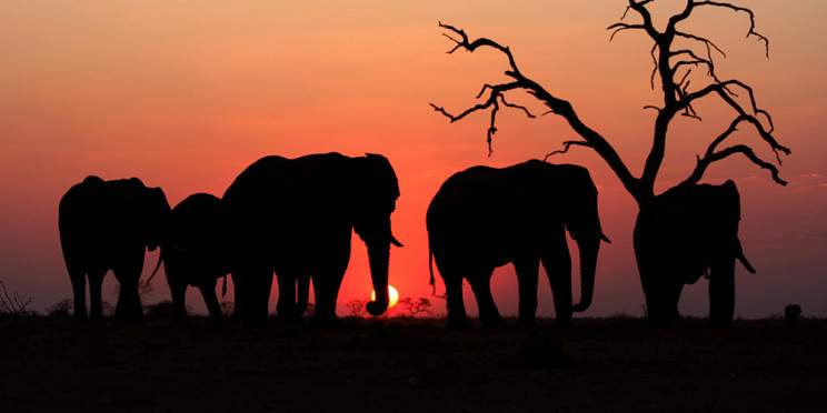 7-Day Jewels of Botswana & Falls